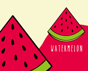 watermelon fruit tropical fresh natural on colored background vector illustration