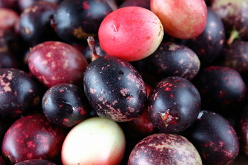 karonda fruit for health herb in thailand