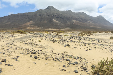 Fototapeta na wymiar Sand dunes and mountain on Fuerteventura, Canary islands