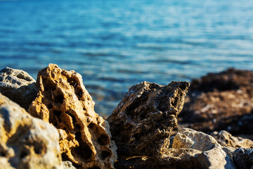 stone against the background of sea water.
