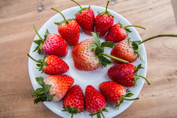 Strawberry Thailand