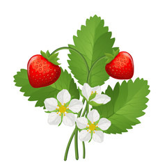 Strawberry. Sweet fruit. 3d vector icons set. Realistic illustration