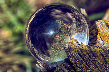 A glass ball of nature