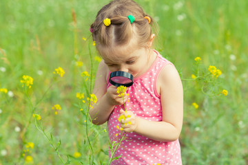 Young girl exploring nature in the meadow with a magnifying glass looking at flowers. Curious children in the woods, a future botanist.