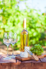 Obraz premium Wine, grapes, nuts, cheese on vineyard. Dinner, lunch, romantic date, picnic, eating on nature.