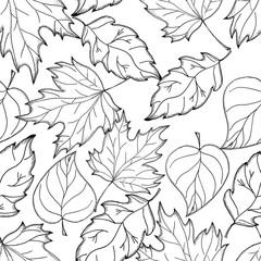 Hand drawn autumn background. Autumn leaves. Black and white seamless pattern.
