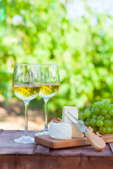 Wine, grapes, nuts, cheese on vineyard. Dinner, lunch, romantic date, picnic, eating on nature.