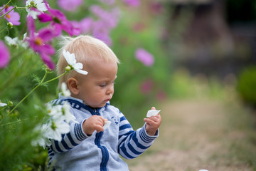 Beautiful child in amazing flower garden