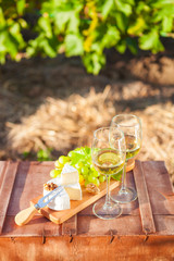 Wine, grapes, nuts, cheese on vineyard. Dinner, lunch, romantic date, picnic, eating on nature.