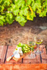 Wine, grapes, nuts, cheese on vineyard. Dinner, lunch, romantic date, picnic, eating on nature.