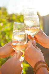 Hands with white wine toasting in garden picnic. Friends Happiness Enjoying Dinning Eating Concept. - 218054584