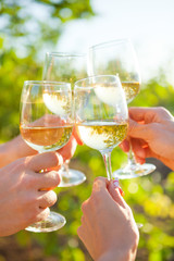 Hands with white wine toasting in garden picnic. Friends Happiness Enjoying Dinning Eating Concept. - 218054595