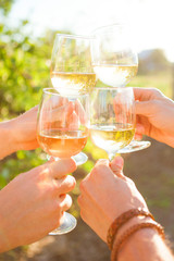 Hands with white wine toasting in garden picnic. Friends Happiness Enjoying Dinning Eating Concept.