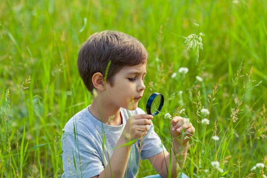 Young boy exploring nature in the meadow with a magnifying glass looking at flowers. Curious children in the woods, a future botanist.