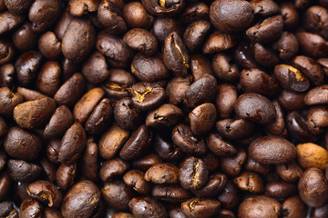 Roasted coffee background,The product from northern of Thailand