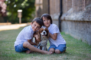 Obraz premium Beaugtiful preschool children, playing with sweet dog in the park
