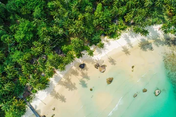 Amazing white sand beach sea shore with coconut palm tree shadow in morning.