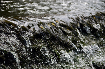 beautiful water in the pond
