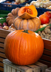 Pumpkins on market 