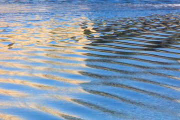 Reflection of a building on the surface of water