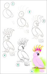 Page shows how to learn step by step to draw a cute little cockatoo parrot. Developing children skills for drawing and coloring. Vector image. © nataljacernecka