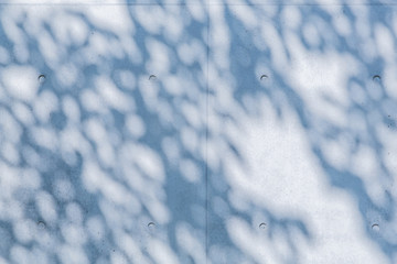 葉の影が映ったコンクリートの壁