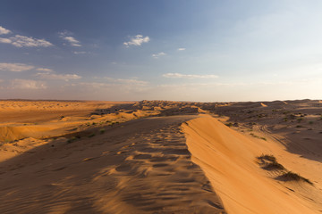 View of Wahiba sands, Oman