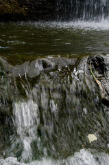 beautiful water in the pond