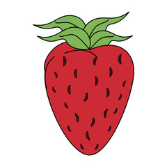 Strawberry natural fruit vector illustration graphic design
