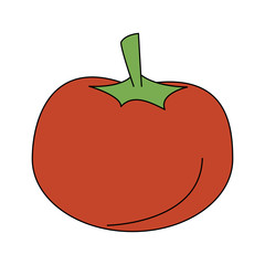 Tomato fresh vegetable vector illustration graphic design