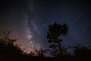 Milky Way and flying meteorites. black silhouette of a pine tree on a background of the starry sky. Night photo.   © Ann Stryzhekin