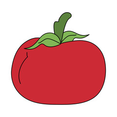 Tomato fresh and natural vegetable vector illustration graphic design