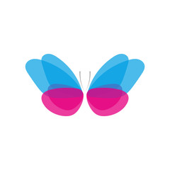 Abstract butterfly icon, logo vector design element