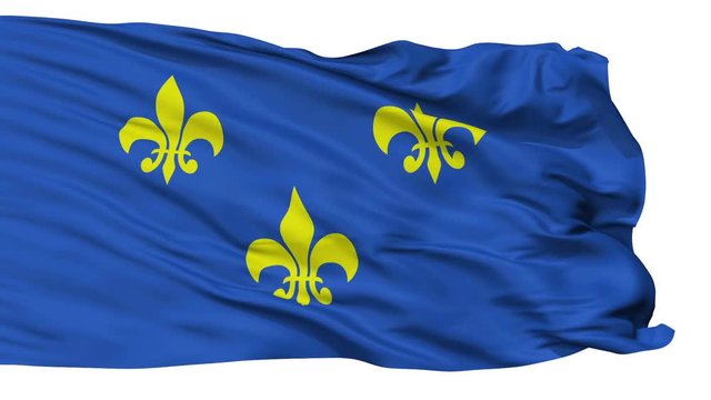 Fleur De Lis Flag, Isolated View Realistic Animation Seamless Loop - 10 Seconds Long