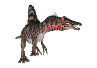 Obraz na płótnie Canvas 3D Rendering Dinosaur Spinosaurus on White
