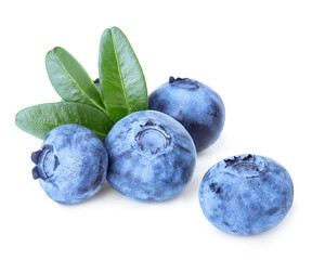 Blueberries with green leaves isolated on white background.