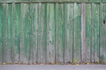 The texture of weathered wooden wall of green color. Aged wooden plank fence of vertical flat boards