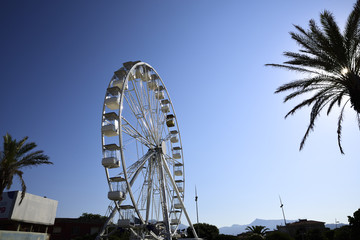 white ferris wheel at sunset
