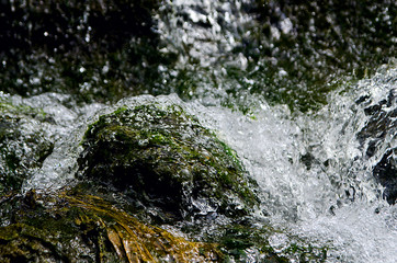 beautiful water in the pond