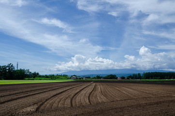 茨城牧場長野支場