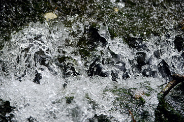 beautiful water in the pond