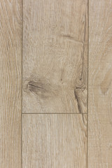 Light wood texture background surface with old natural pattern