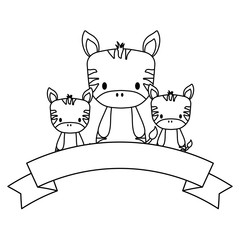 decorative ribbon and cute zebras over white background, vector illustration