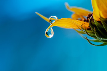 water drops