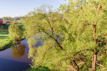 The river in the spring with a thick bushy trees on the shore