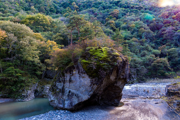 Japan Stone Island wabi sari