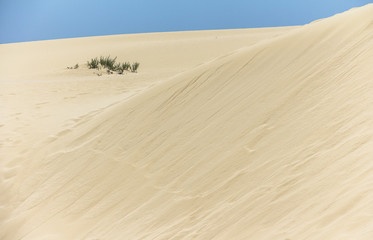 Endless and wide sand dunes, Dunas de Corralejo, Fuerteventura