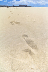 Foot steps in sand dunes of Dunas de Corralejo, Fuerteventura