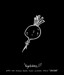 농산물 일러스트 / 손으로 그린 과일과 채소 그림