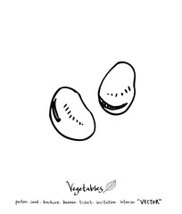 농산물 일러스트 / 손으로 그린 과일과 채소 그림